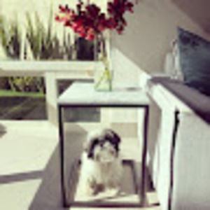 Meet your Posher, Paula